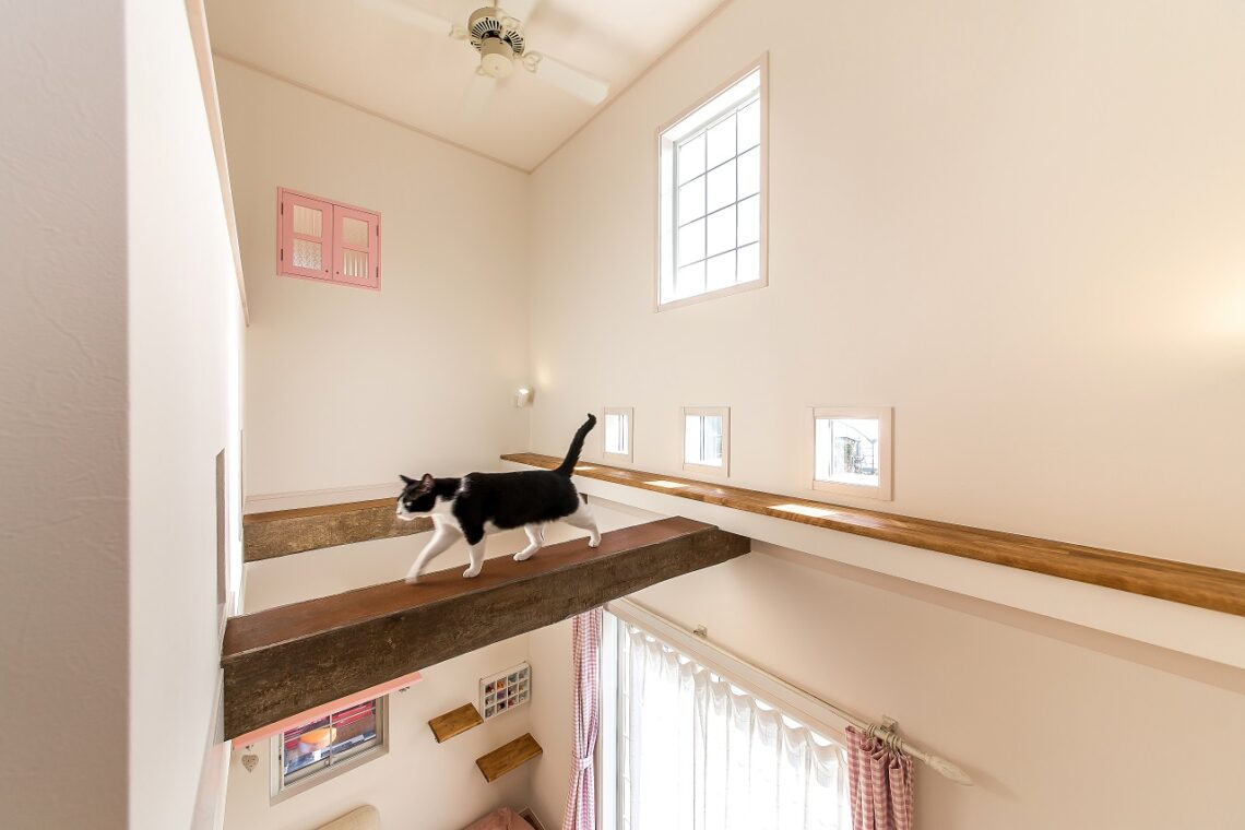 【静岡　自然素材　注文住宅】猫との暮らし、自転車。遊びゴコロを叶えた家　新築　30坪台　静岡市